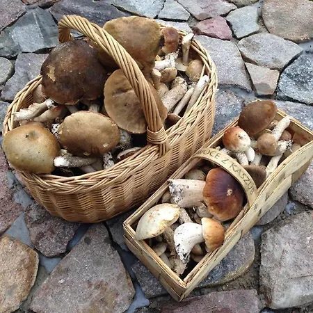 Деревянный коттедж Sznureczki Przewoz (Pomerania)