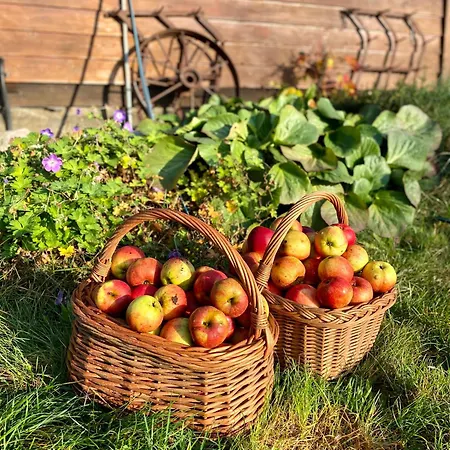 Sznureczki بيت خشبي *