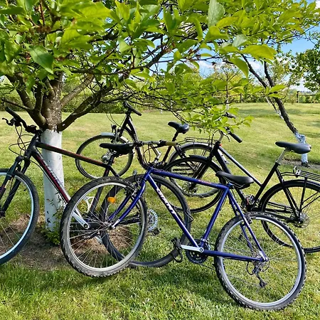 Деревянный коттедж Sznureczki Przewoz (Pomerania)