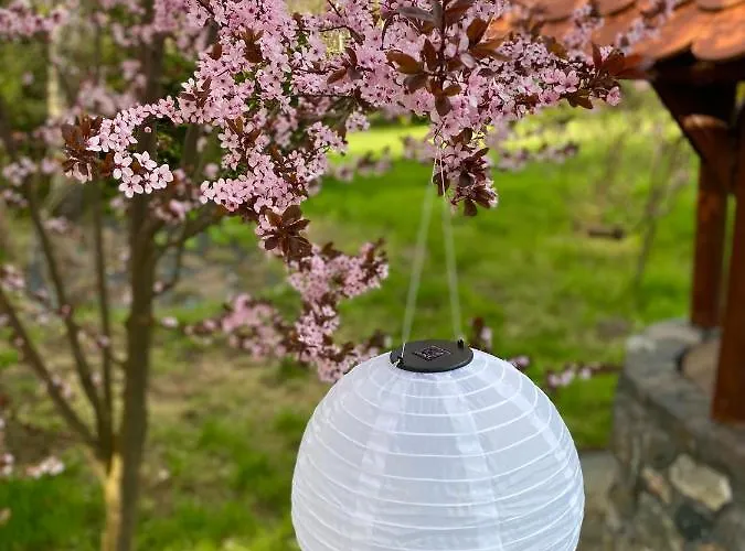 Sznureczki Przewoz (Pomerania)