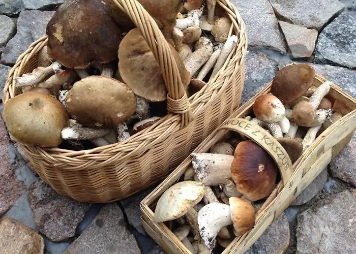 Lodge Sznureczki Przewoz (Pomerania)